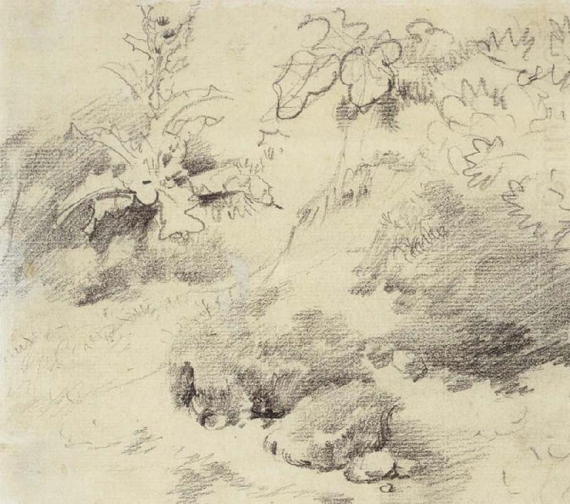 Thomas Gainsborough Study for a Foreground,a Bank with Weeds and Thistles china oil painting image